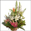 Cute Explorer - Click here to View more details about this Product